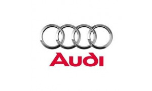 Bras de suspension et rotule Audi A6