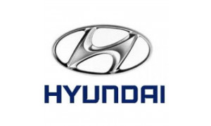 pieces moteur  Hyundai 