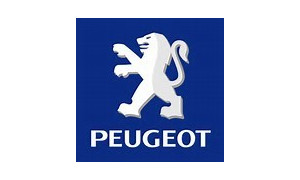 Cache Sous Moteur Peugeot